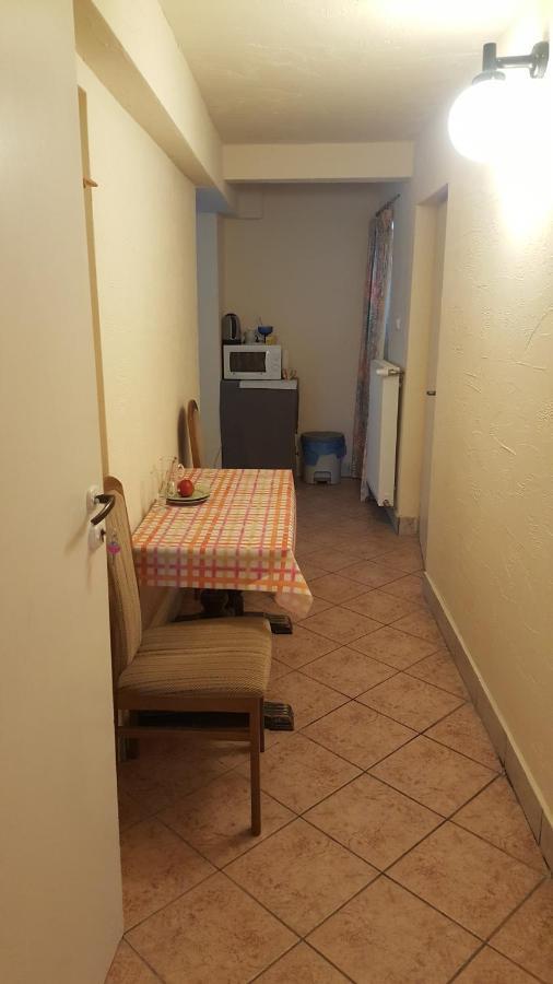Pod Srebrna Roza Apartment Checiny  Ngoại thất bức ảnh