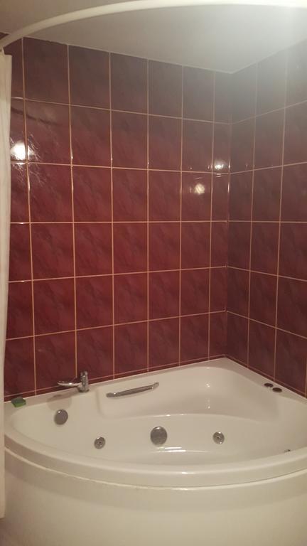Pod Srebrna Roza Apartment Checiny  Ngoại thất bức ảnh