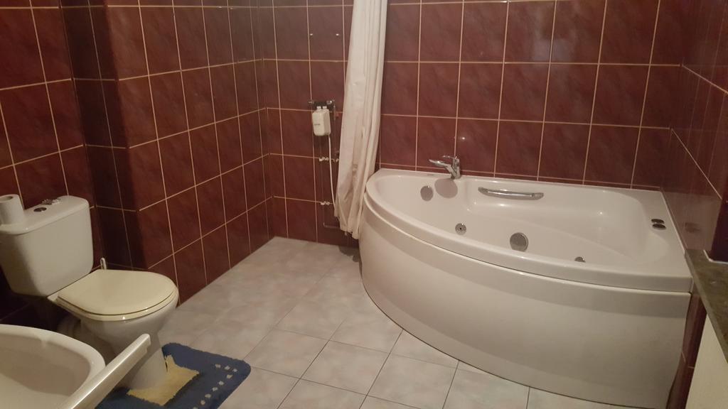 Pod Srebrna Roza Apartment Checiny  Ngoại thất bức ảnh